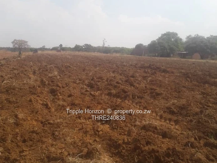 Marondera farm for sale