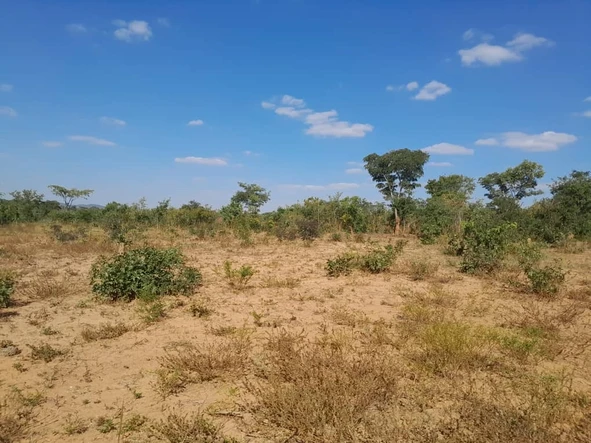 Farm & Agricultural Land