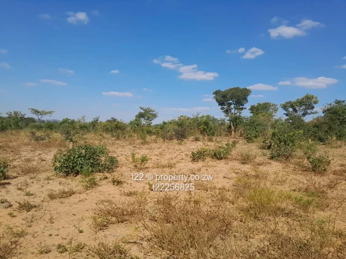 Mhangura River range plots for sale!!!