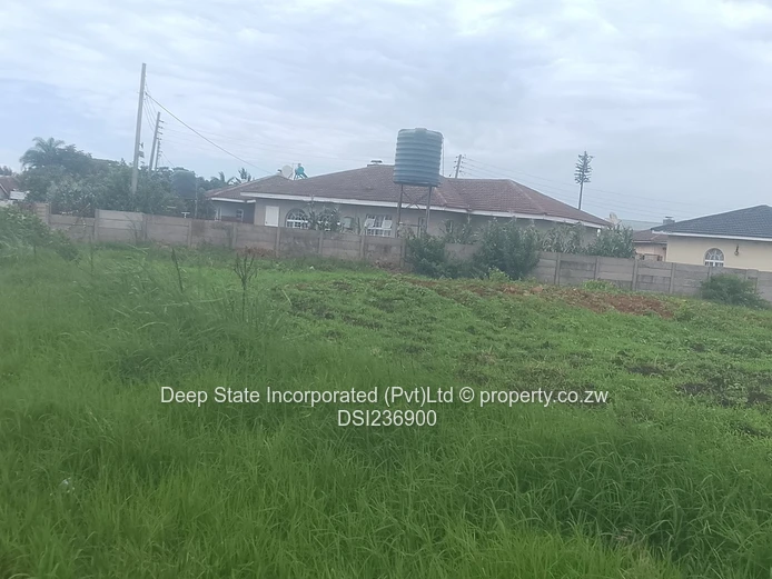 Bluff hill stand for sale 