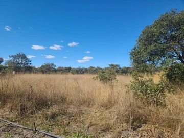 Farm & Agricultural Land