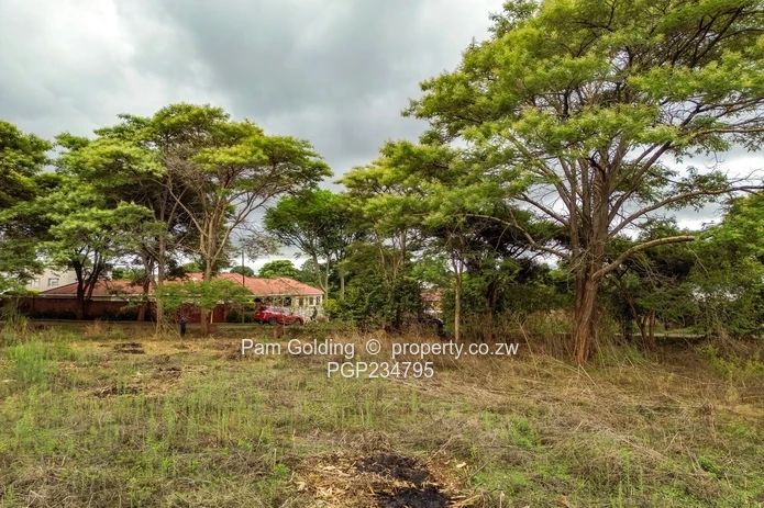 Vacant Title Stand in Good Location