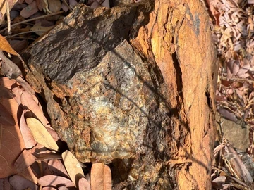 Commercial & Industrial Land