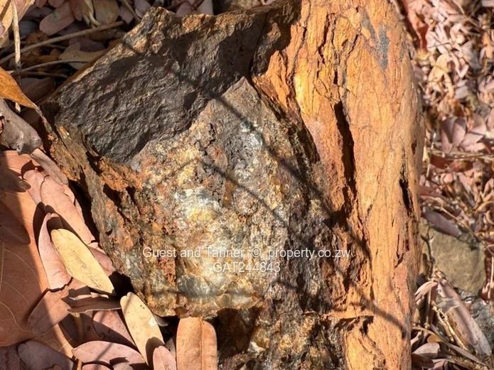 Makaha Gold Mine Opportunity