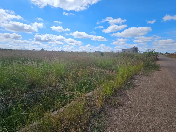 Stands & Residential Land