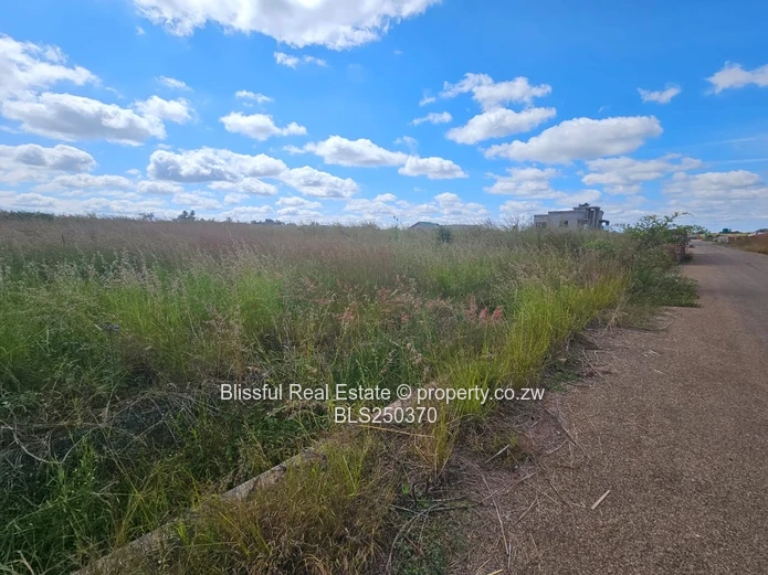 Nyeredzi Ridge Stand for sale