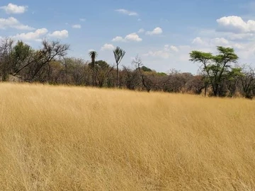 Farm & Agricultural Land