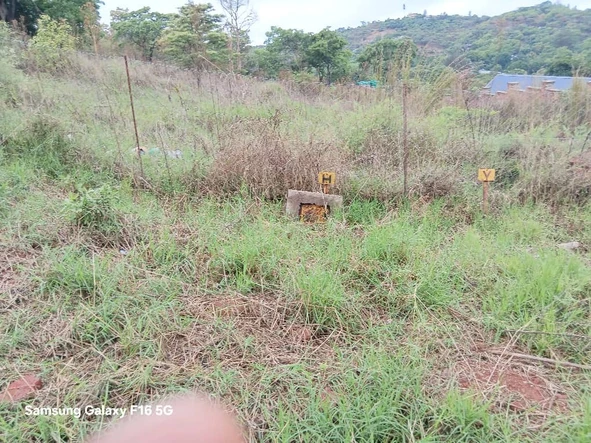 Land