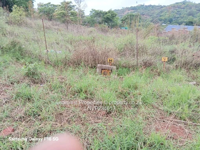 Stand For Sale In Borrowdale Helensvale 