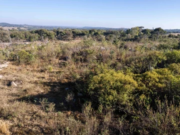 Farm & Agricultural Land
