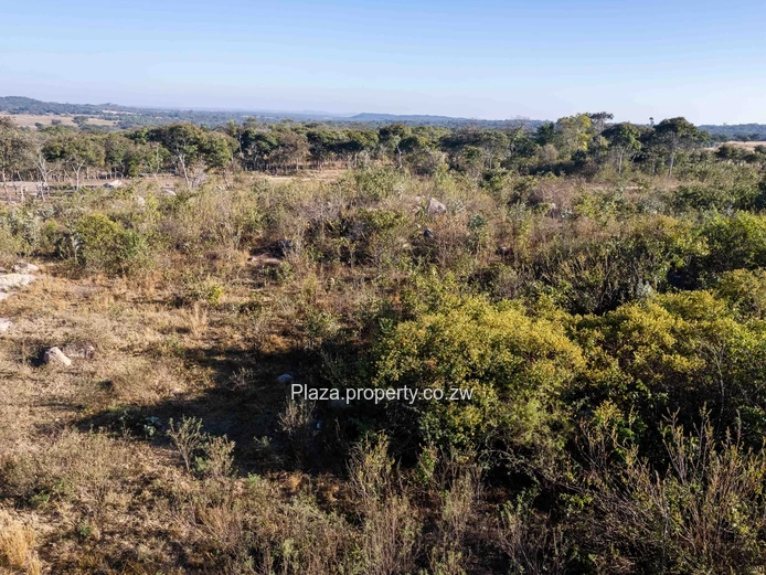 Marondera Prime 29-Hectare Farm – An Outstanding Investment Opportunity