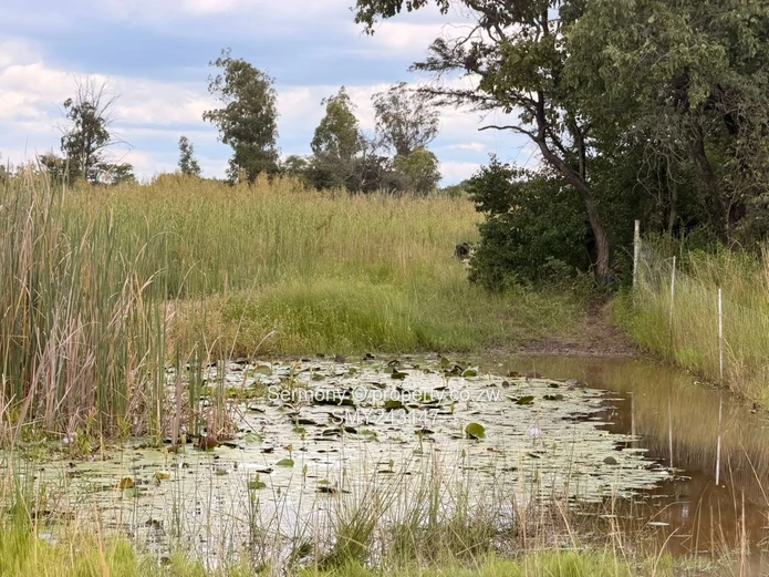 Plots for sale in Chegutu 