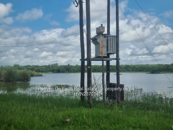 Green Gold For You Farmers!!