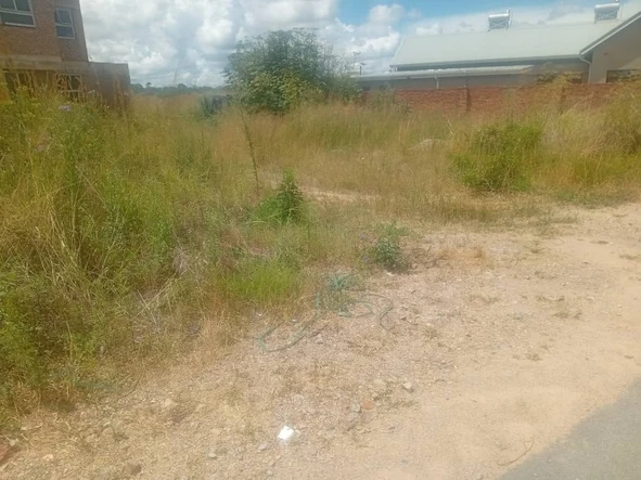 Stands & Residential Land