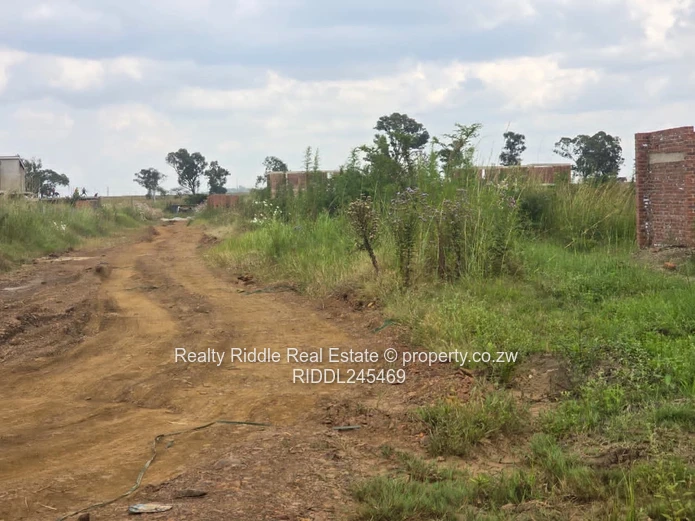 1000m² Westgate Stand — Gravel Road