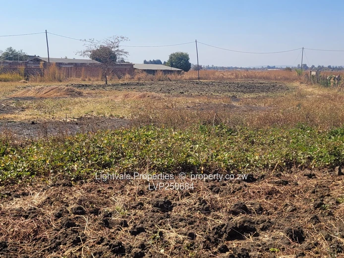 Sunlit 4,814m² Stand in Knowe – Tarred Roads & Water (Sole Mandate)