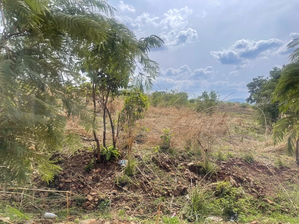 Commercial & Industrial Land