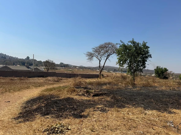 Stands & Residential Land