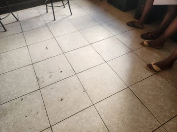 Shop & Retail Property