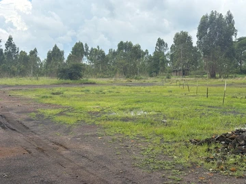 Commercial & Industrial Land