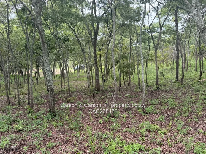 Vacant residential stand for sale in Umwinsidale 