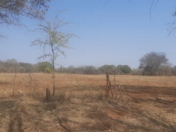 Farm & Agricultural Land