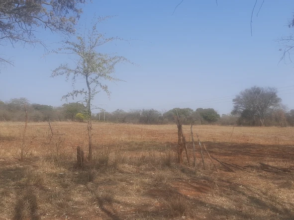 Farm & Agricultural Land