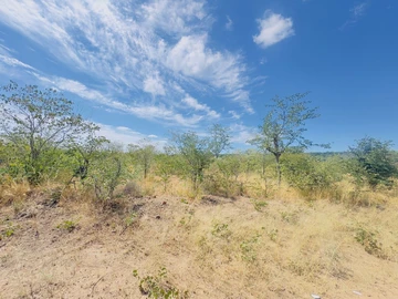 Commercial & Industrial Land