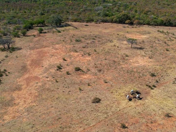 Farm & Agricultural Land