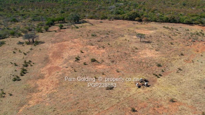 486hac Farm for Sale – Bubi District (Along Nkayi Road)