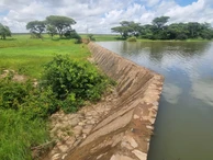 Farm & Agricultural Land