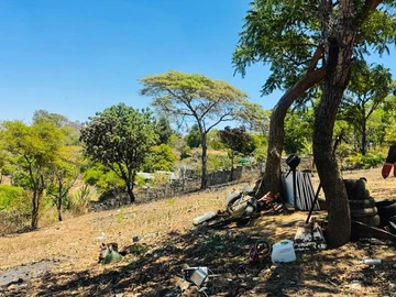 Stands & Residential Land