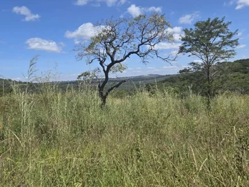 Farm & Agricultural Land