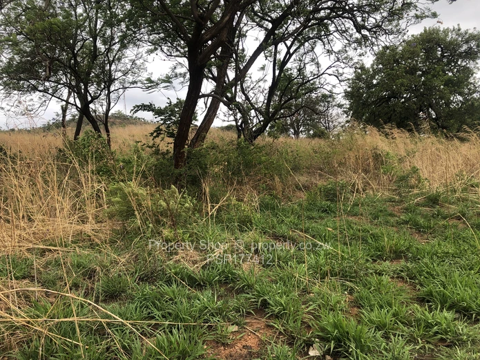 Build your dream house or clusters 