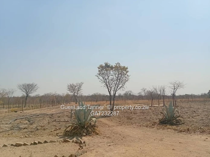 Invest in Chegutu's 4-hectare plot 
