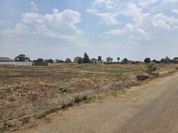 Stands & Residential Land