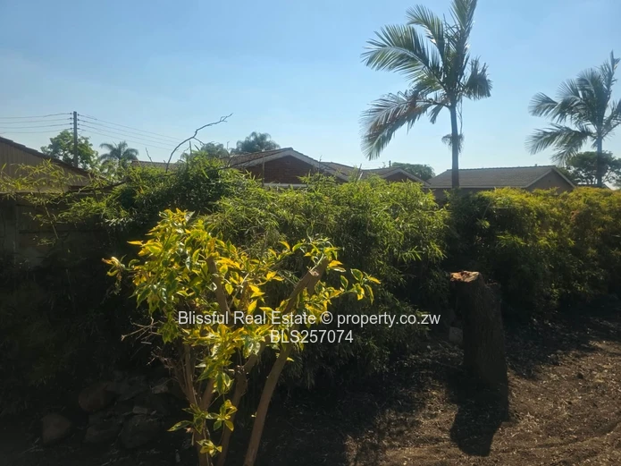 3-bedroom house for rent in Westgate