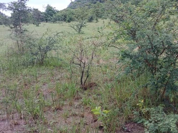 Farm & Agricultural Land