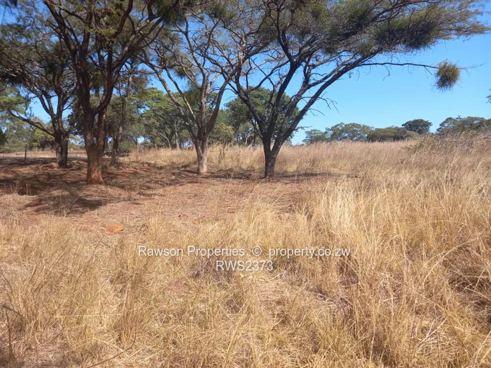 Glen Forest Plot For Sale