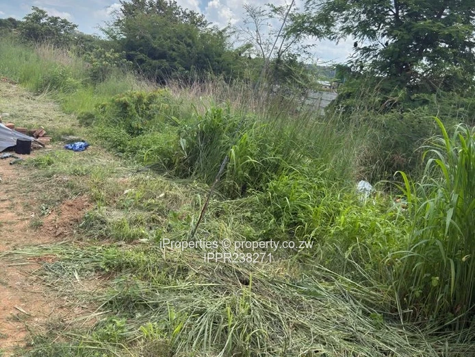 Prime 500sqm Serviced Infill Stand – Developer’s Cession (Sole Mandate)