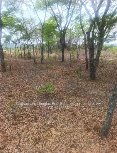 Meadow Springs Marondera