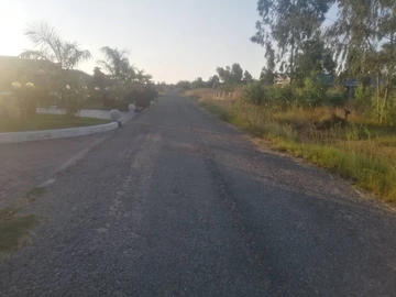 Stands & Residential Land