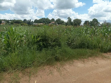 Land