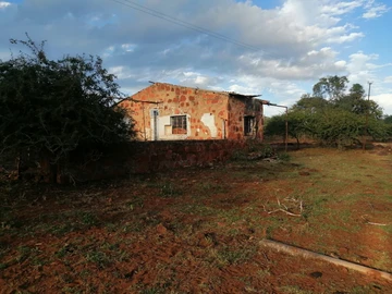 Farm & Agricultural Land