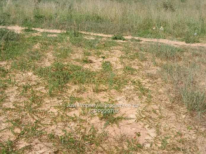 Nyabira Stand  (Sole Mandate)