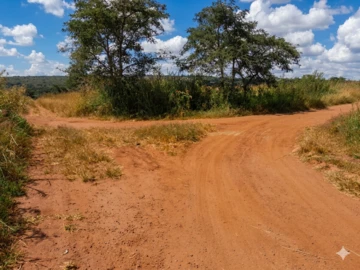 Farm & Agricultural Land