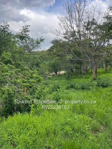 Prime Corner Stand for Sale 