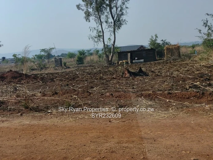 Crowhill Cleverhill stand for sale 