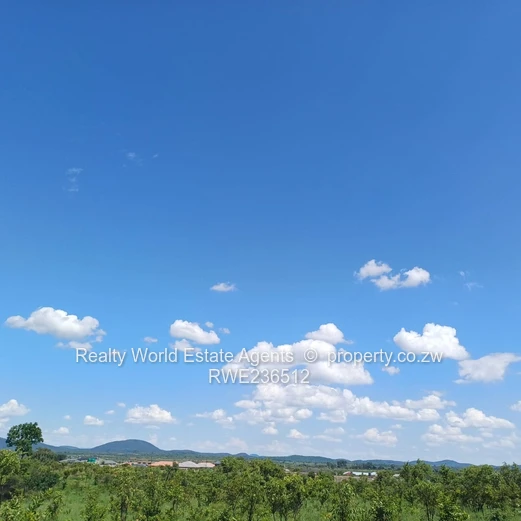 Masvingo Clipsham School Stand 