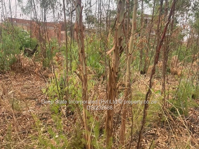 Cold comfort stand for sale (Gated community) 